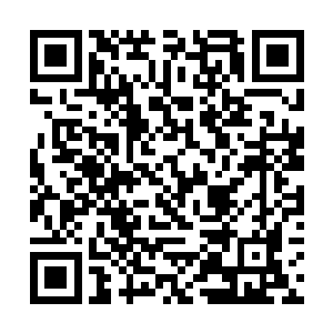 陈姑姑觉得眼前的卢八娘子与在王府里有很大的不同二维码生成