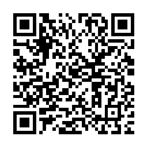 陈嫂刚上楼梯就看见一身白色雪纺睡裙的白芷打着哈欠往下而来二维码生成