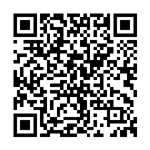陈学智说是一处和澹台明月住的小区隔两条马路二维码生成