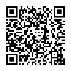 陈家和夏家的老者脸上顿时也是露出了一抹欣喜的神情二维码生成