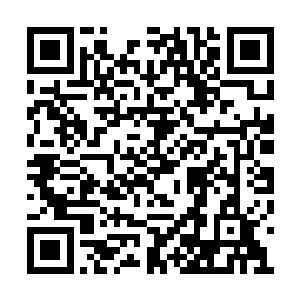 陈家家主一巴掌直接将自己旁边的桌子拍的粉碎二维码生成