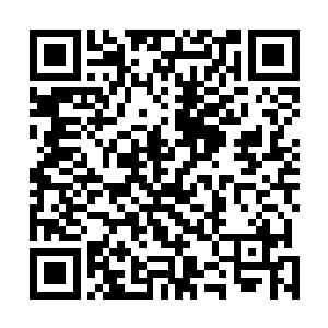 陈富强和陈邵兵父子两个直接就是目瞪口呆的看着陈富国二维码生成