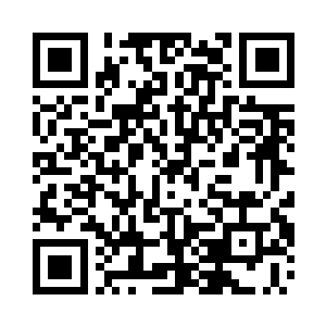 陈富贵和张亮二人都是一脸不解的看着我二维码生成