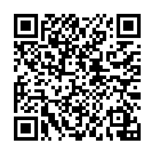 陈小练一惊……难道自己这一拳居然有如此巨大的力量二维码生成