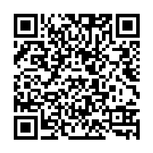 陈小练一眼就看见了里面放着的一个廉价的化妆盒二维码生成