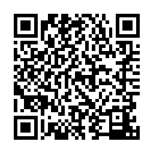 陈小练也没什么心思去搞什么军队建设――这么短的时间二维码生成