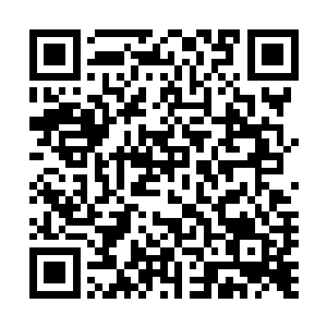 陈小练再一次见到了威廉王――这让他心中稍微放心了一些二维码生成