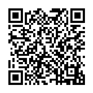 陈小练则故意拿起一本杂志来假装漫不经心的翻看起来二维码生成