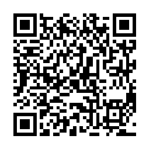 陈小练可不想让美国警察把自己当成恐怖分子给突突了二维码生成