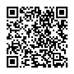 陈小练和罗迪也把自己的经历捡了些能说的讲了二维码生成