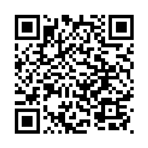 陈小练对着蓝海投以了质询的目光二维码生成