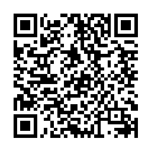 陈小练将手上的刀山火海的人交给了身边的天使军团二维码生成