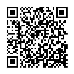 陈小练就感觉到一股虚弱无力的感觉飞速的吞噬了自己二维码生成