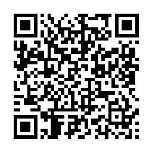 陈小练就看到GM的全系投影一脸万分凝重地看着自己二维码生成