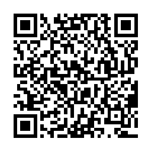 陈小练就看着泽北光男的一只手搭在了自己的手腕上二维码生成