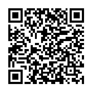 陈小练已经从这几个回合的交手之中做出了一个判断二维码生成