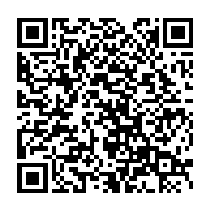 陈小练已经趴在了废墟的入口处焦急的看着罗迪被巨龙扑倒在地上二维码生成