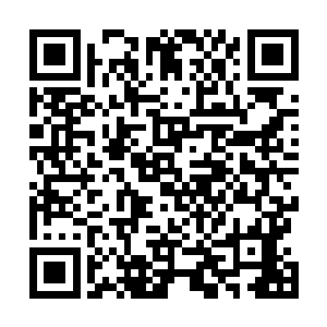 陈小练带着旗木西从自己找到了一个地形稍微平缓的地方二维码生成