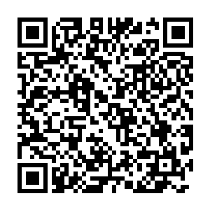 陈小练并不知道自己的秘密几乎就被光头女孩长濑幸未所窥探到了二维码生成