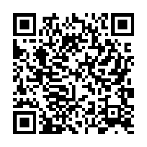 陈小练当然不会真的打算把这些狮鹫之魂激活成宠物二维码生成