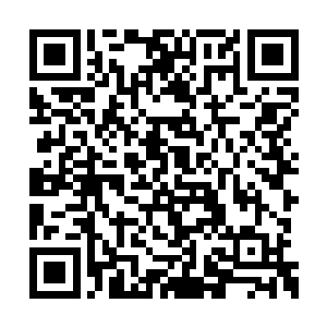 陈小练手里的剑还保持着插在了诺兰胸中的姿态二维码生成