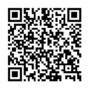 陈小练理直气壮的回答――当然也很无耻的样子二维码生成