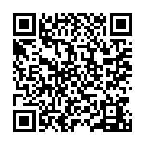 陈小练甚至看见了有两个难民在距离自己不到十米的地方二维码生成