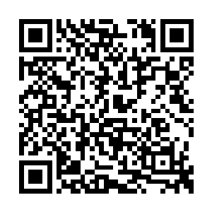 陈小练看着隆本静香额头上的伤口已经不流血了二维码生成