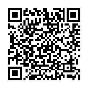 陈小练看见了车前道路中间自己扔下的那个箱子二维码生成