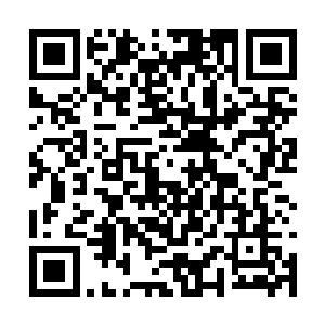 陈小练说中的她的心思她原本的确是打算偷点吃的二维码生成