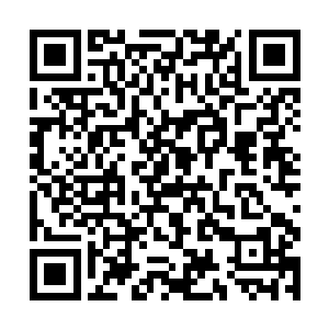 陈小练随后将自己和罗迪在国内的地址写给了旗木西二维码生成