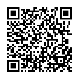 陈小练驱车已经来到了已经勘测的地图的边缘地带二维码生成