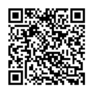 陈巧对苏凡漏出了一个笑脸直接朝着苏凡所指的方向走去二维码生成