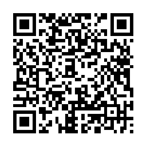 陈师爷多少会跟自家少爷介绍一番这次屯粮的进展二维码生成