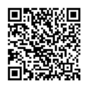 陈建把封校期间几个孩子收款箱里的钱交给他们二维码生成