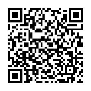 陈律师本来是打算揭穿殷蔓蔓与张锋假结婚的伎俩二维码生成