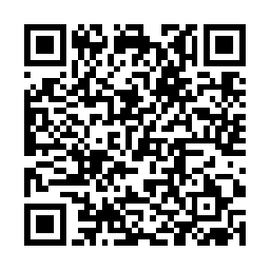 陈德大就觉得当八路军还不如拉杆子当刀客来的自在二维码生成