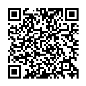 陈放这孩子现在就是用各种各样的办法从他爸妈手里骗钱二维码生成