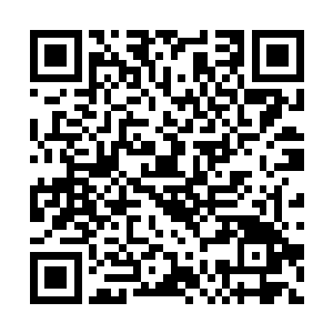 陈易清五人现在在红色方蓝BUFF通往小龙的那条通道徘徊二维码生成