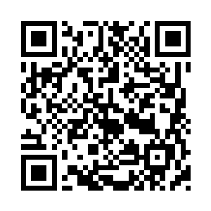 陈易清几人是不会将第二条小龙拱手相让的二维码生成