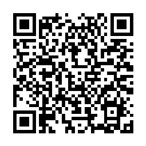 陈易清打开了克里斯给的分析表准备好好的看一看二维码生成