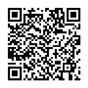 陈易清这些九零后是不太擅长向自己的父母表达感情的二维码生成