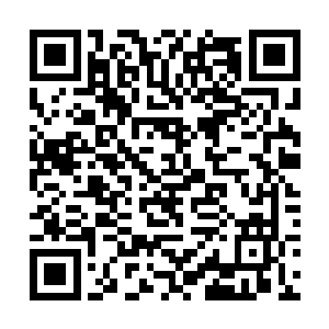 陈景皓不知道从哪里找来愣了龙延香给郁桐喂了下去二维码生成