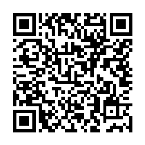 陈景皓整理了一下自己被撕的七零八碎的道袍之后二维码生成