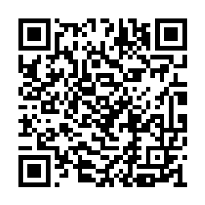 陈氏带着苏婉来到一处牡丹园中略显偏僻的地方二维码生成