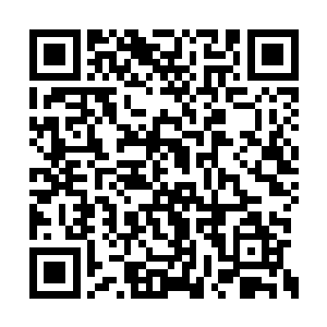 陈氏正要发作就又听到报喜的人重复了一遍喜报二维码生成