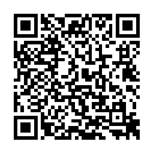 陈氏皇族及很多南方的大人物包括他故乡的父老二维码生成