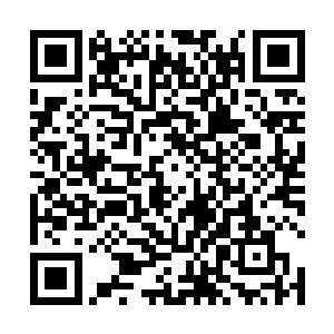陈永昌自信还是有把握能够帮卢向东争取到这个项目的二维码生成
