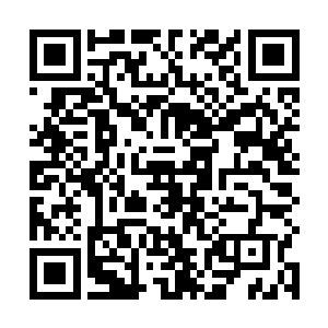 陈灵素就是带着大老鼠正在吸收黑心肉工厂当中的死气二维码生成