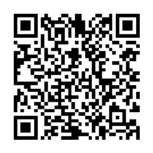 陈烨看着眼前只知道点脑袋的小人儿还是觉得不放心二维码生成